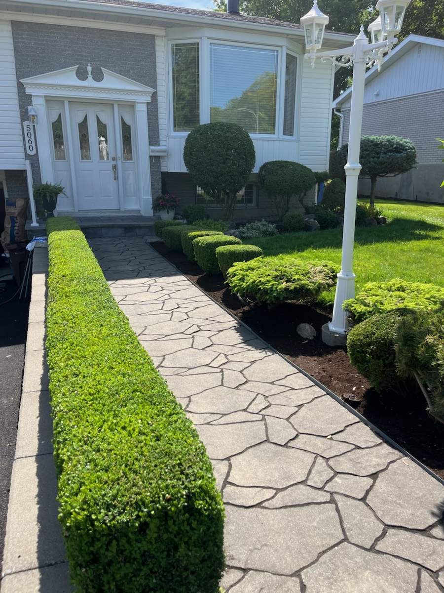 Boxwood hedge and walkway trim