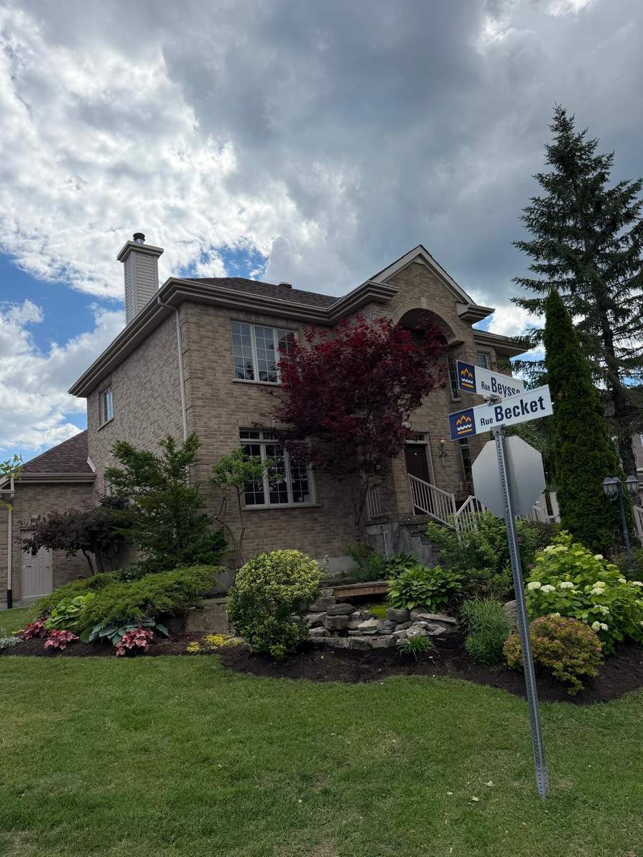 Front garden and rock feature