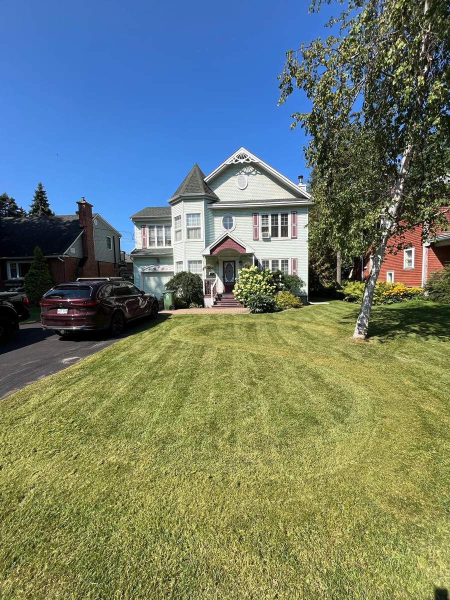 Freshly mowed striped lawn